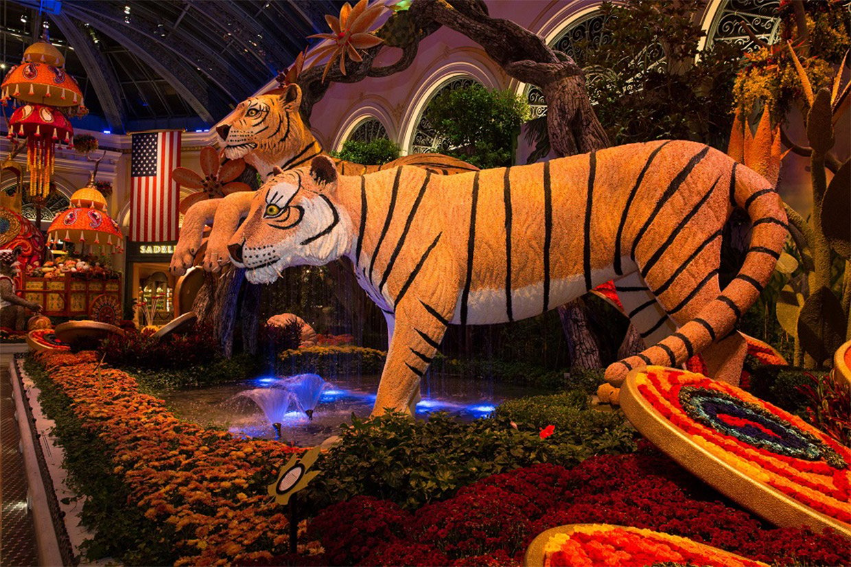 Bellagio Indian Summer Display