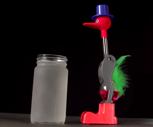 How a Drinking Bird Works