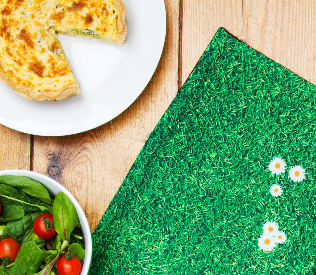 Indoor Picnic Blanket