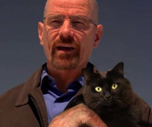 If Walter White Had a Cat