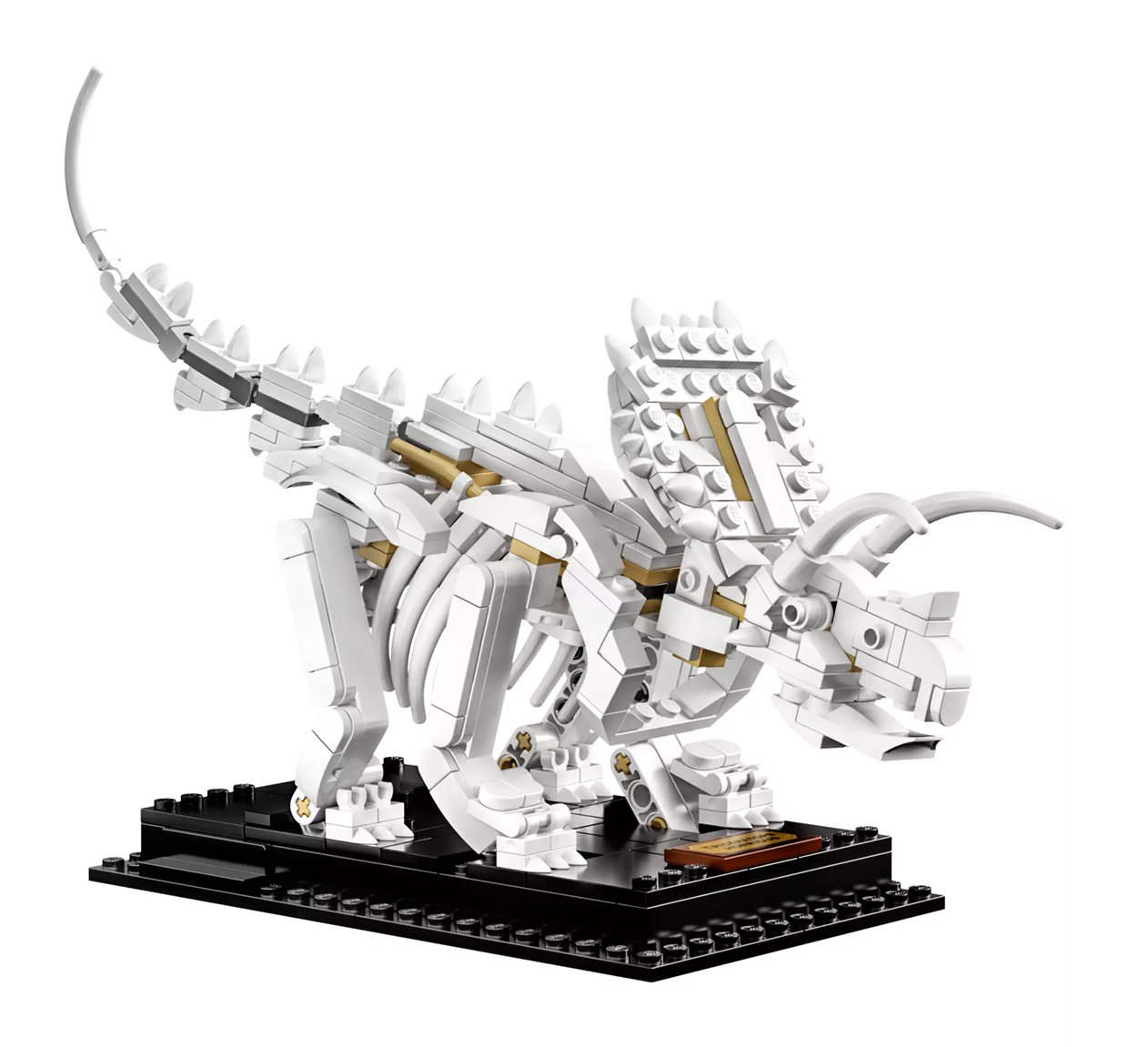 LEGO Ideas Dinosaur Fossils