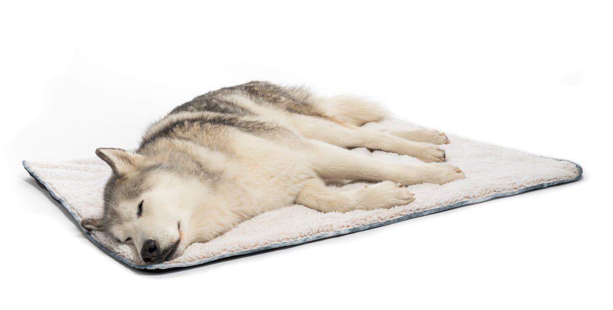 Rumpl Loki Dog Bed