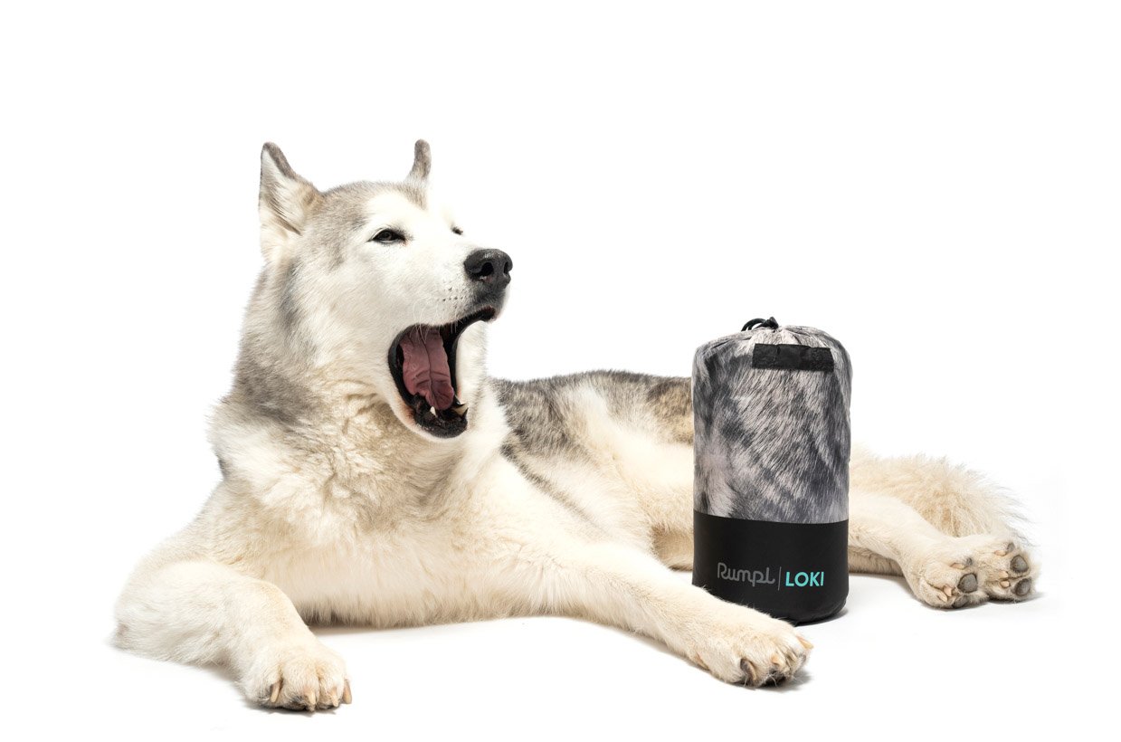 Rumpl Loki Dog Bed