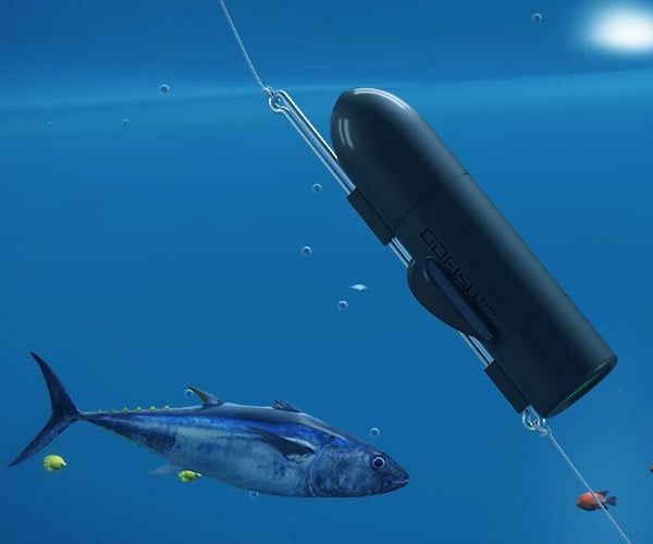 GoFish Underwater Fishing Camera