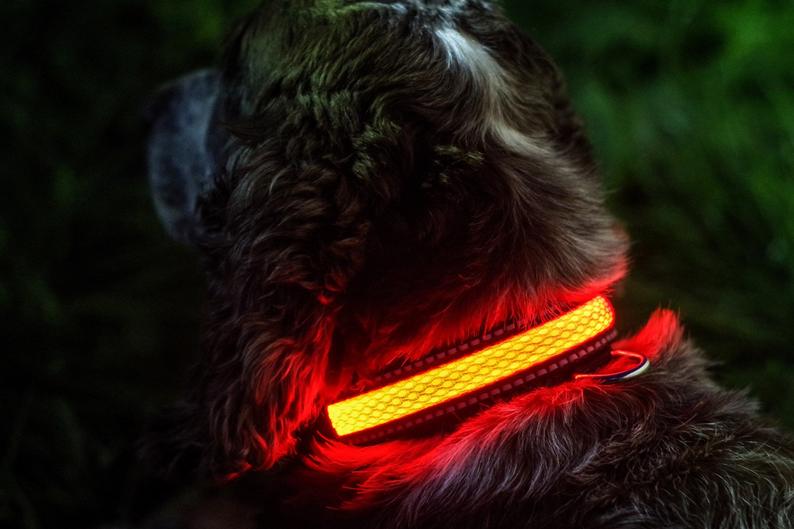 Illuminated Apparel Dog Collars