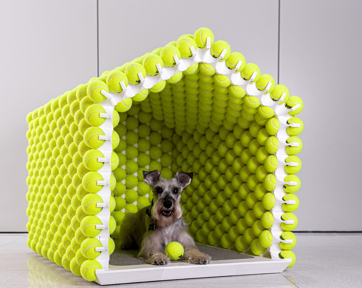 Tennis Ball Dog House