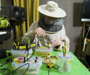 Making Music with Bees