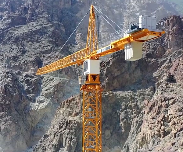How Cranes Build Themselves