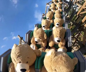 Teddy Bear Roller Coaster