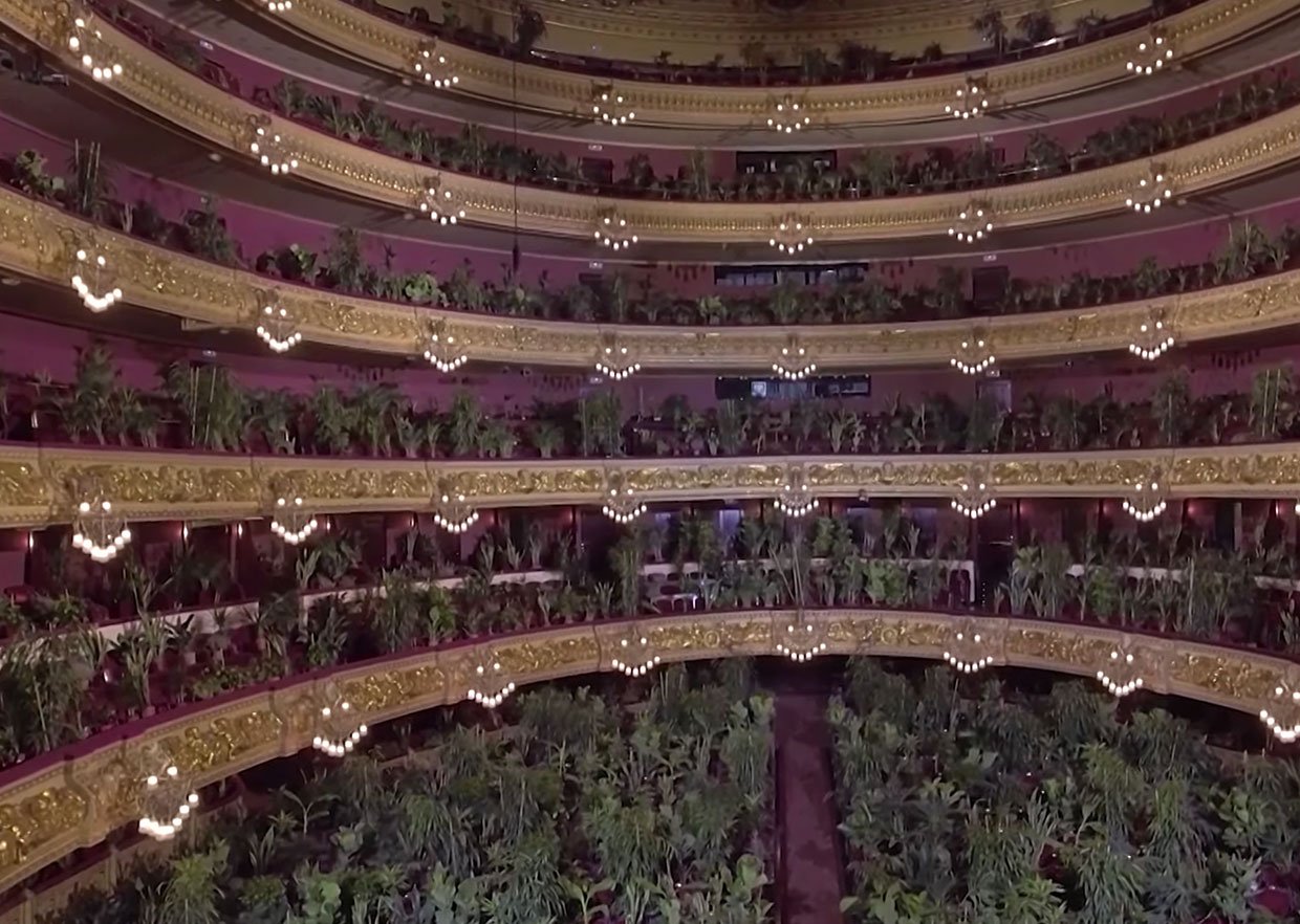 A Concert for 2,292 House Plants