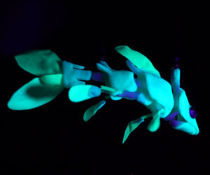 Glowing Fish Puppet