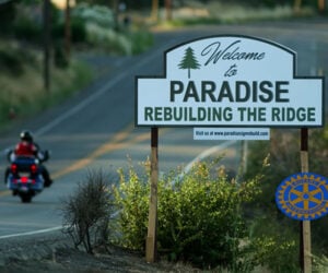 Rebuilding Paradise (Trailer)