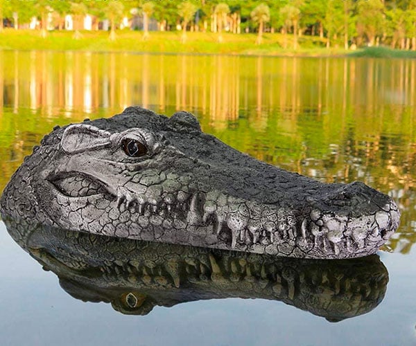 R/C Crocodile Head