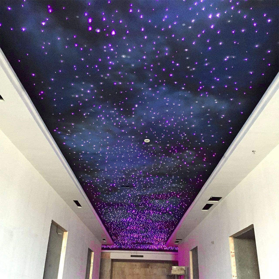 Fiber Optic Ceiling Lights