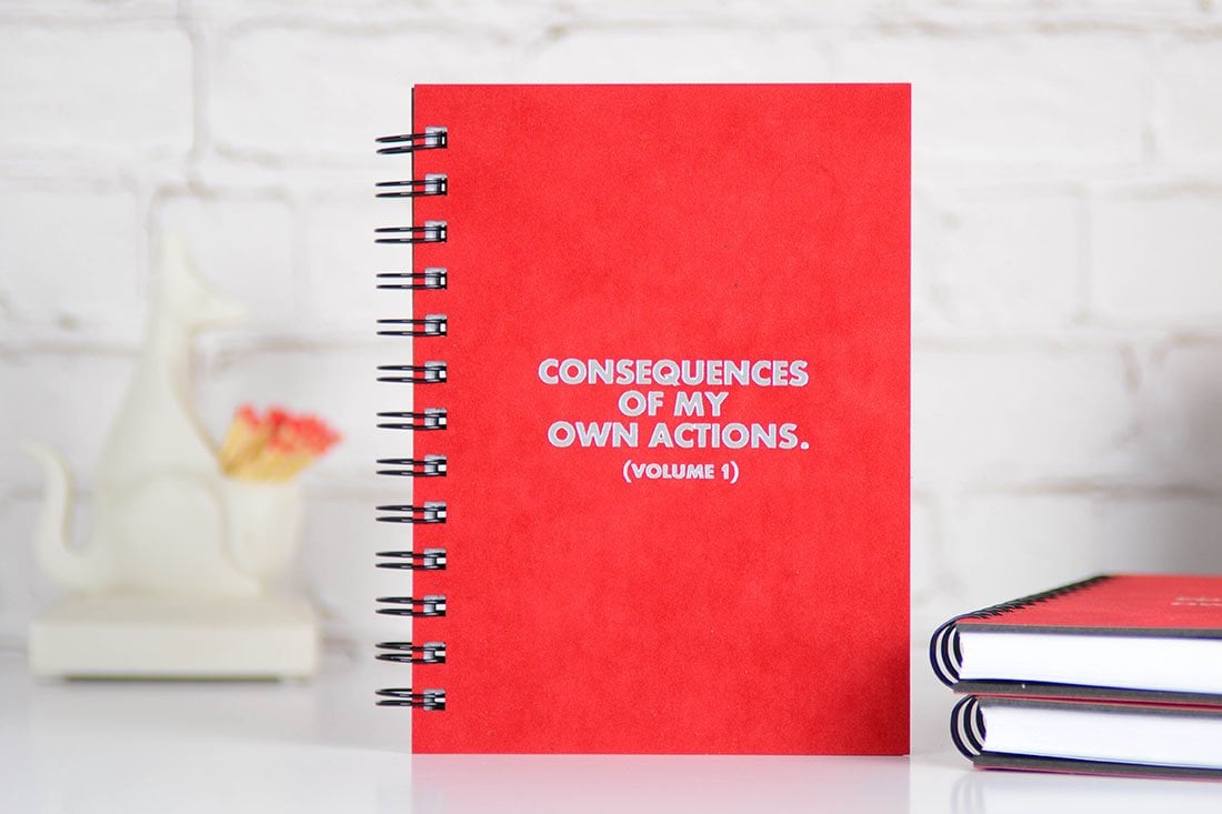 Consequences Journal