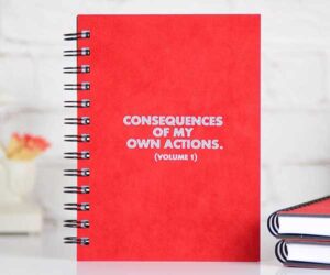 Consequences Journal
