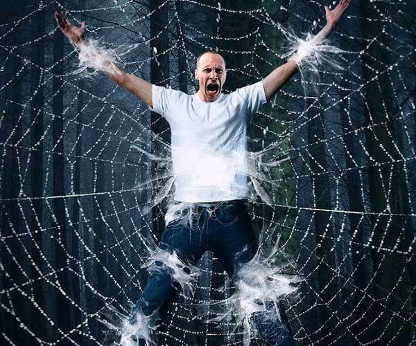 Human vs. Giant Spider Web