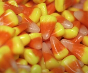 How Candy Corn Is Made