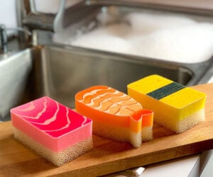 Sushi and Breakfast Sponges