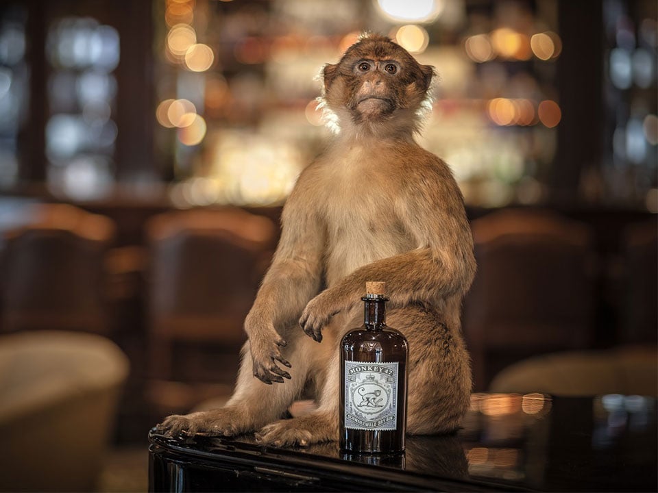 Monkey 47 Dry Gin