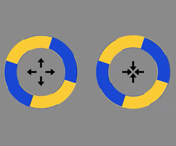 Stationary Circle Optical Illusion