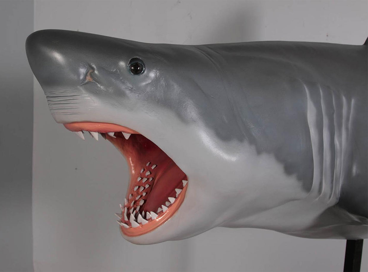 12-Foot Shark Model