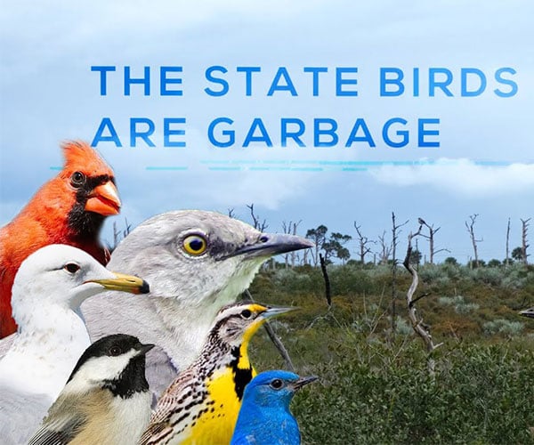 The State Birds are Garbage