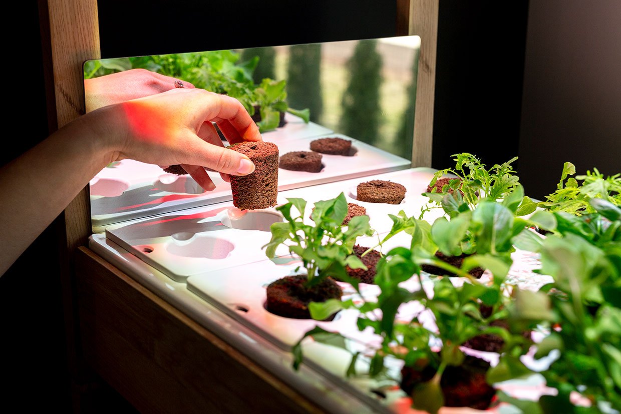 Click & Grow 25 Indoor Garden