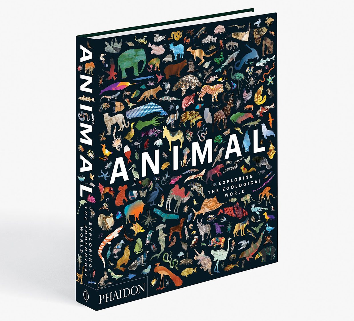 Animal: Exploring the Zoological World