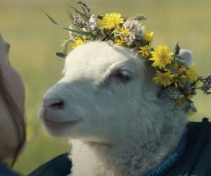 Lamb (Trailer)
