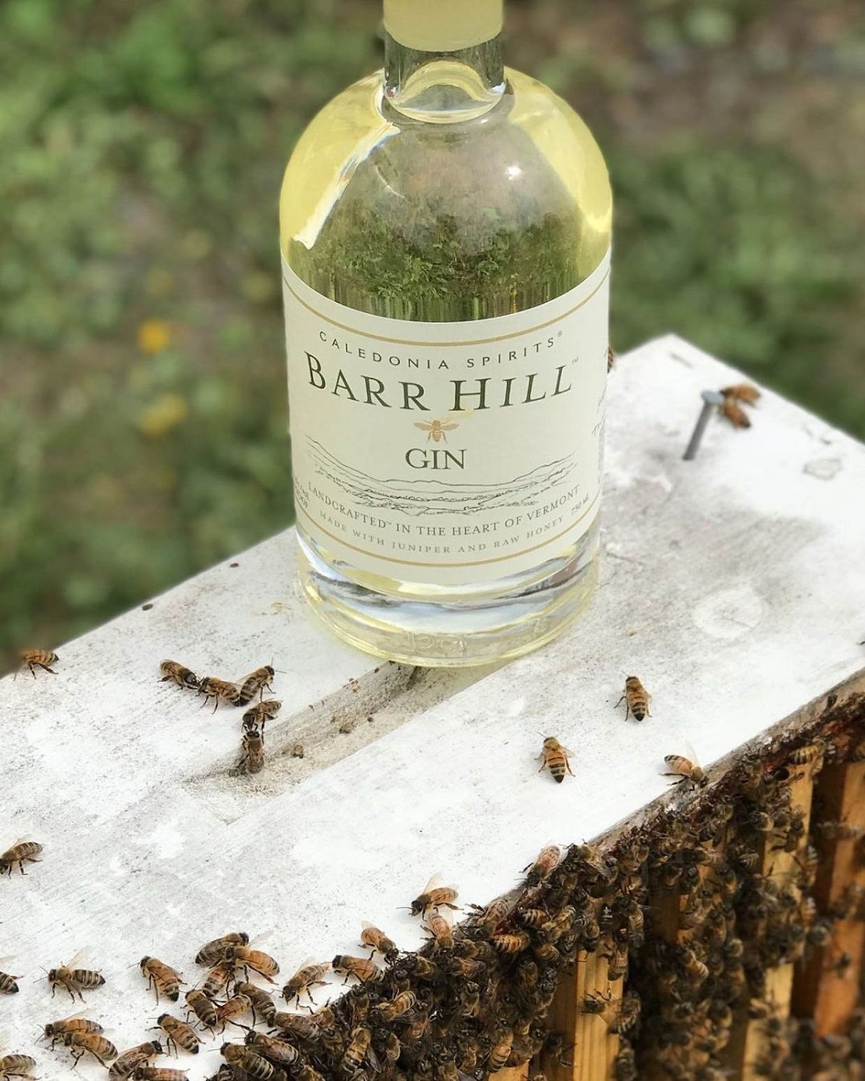 Barr Hill Gin