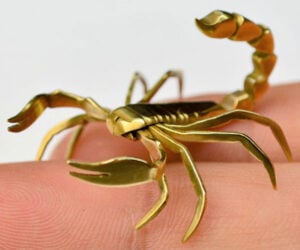 Transforming a Screw into a Scorpion