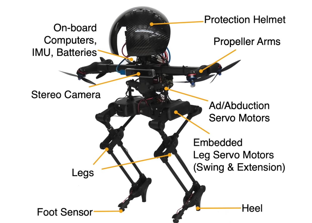 Walking + Flying Robot