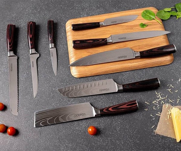 Seido Japanese Master Chef Knife Set