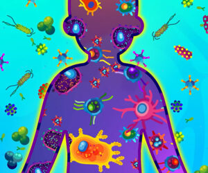 How Our Immune Systems Protect Us