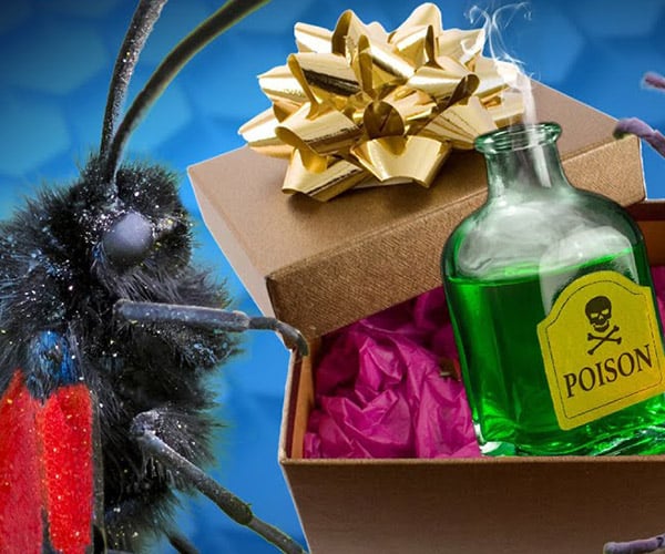 Weird Gifts of the Animal Kingdom