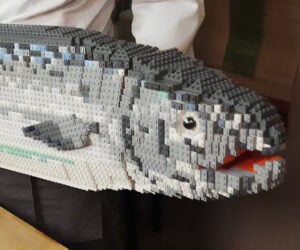 Cutting Up a LEGO Fish