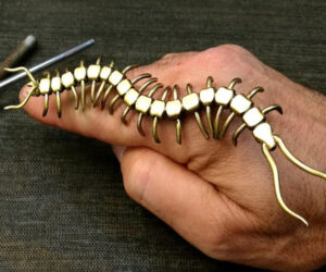 Turning a Metal Rod Into a Centipede