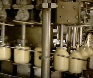 How Mayonnaise Is Made