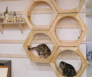 Building a Wall-Mounted Cat Treehouse
