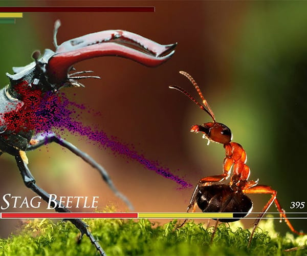 Ants, Bees, and Wasps Are Overpowered