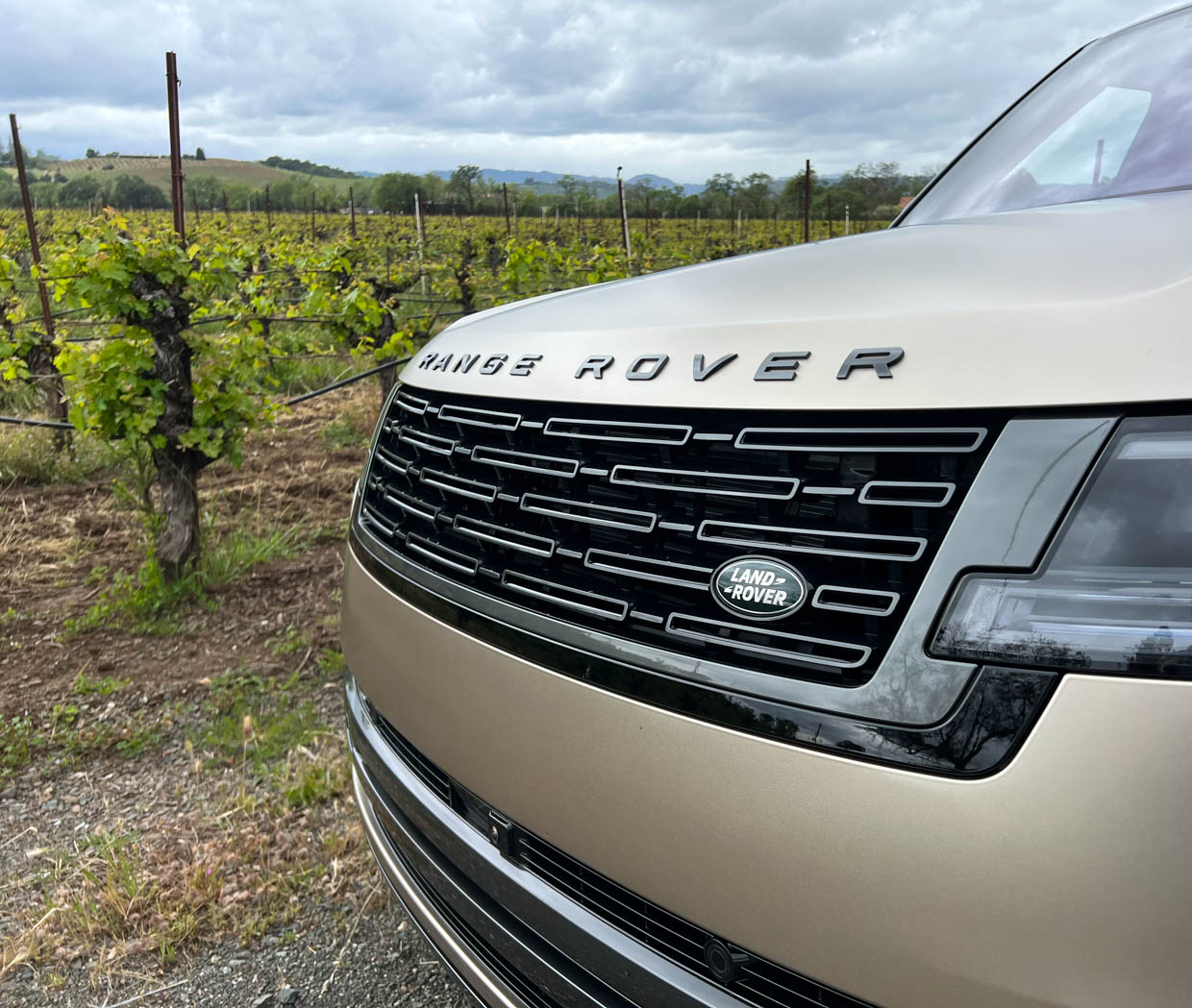 Driven: 2022 Range Rover