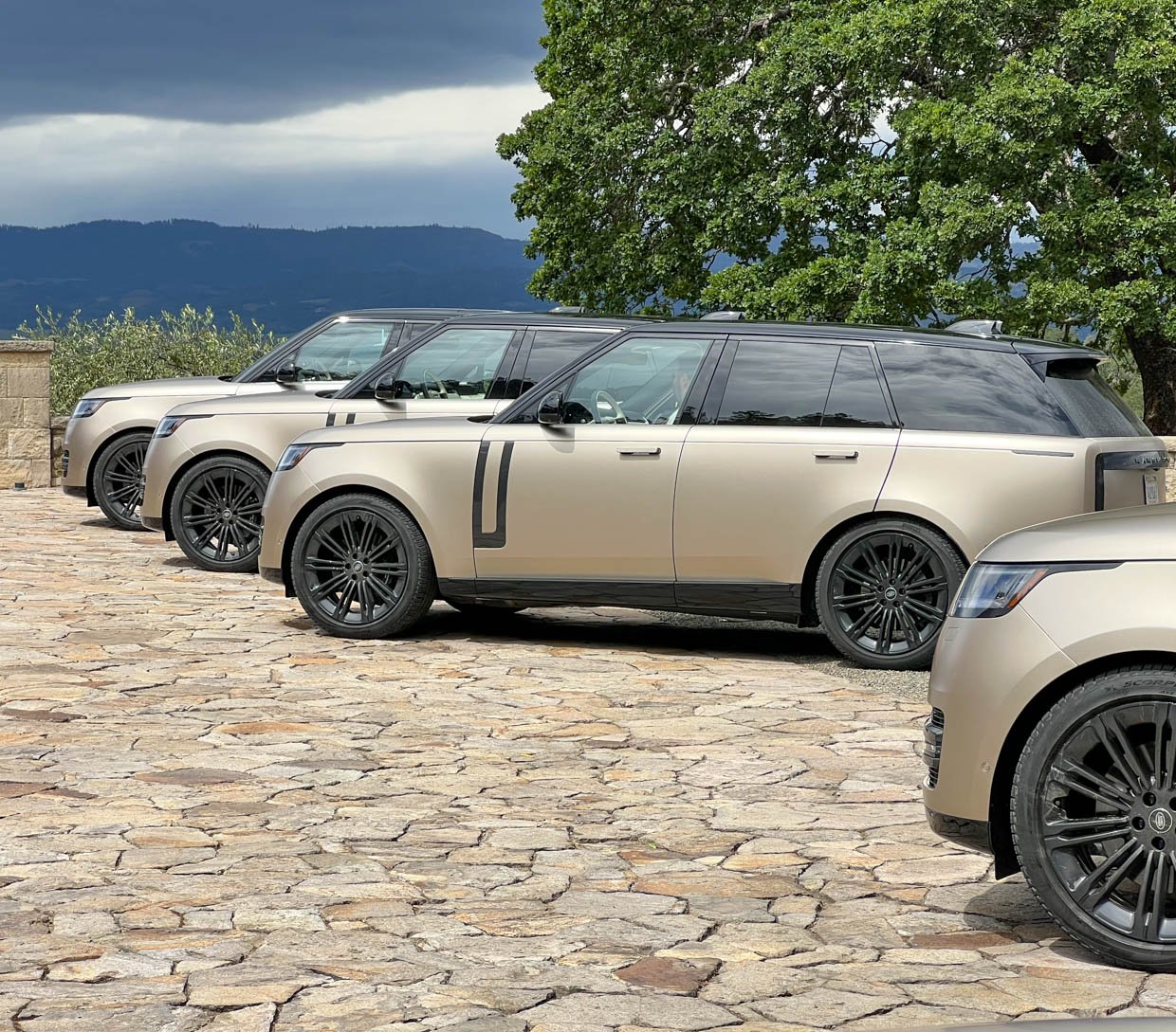 Driven: 2022 Range Rover