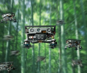 Drones vs. Bamboo Forest