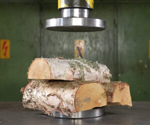 Drying Firewood with a Hydraulic Press