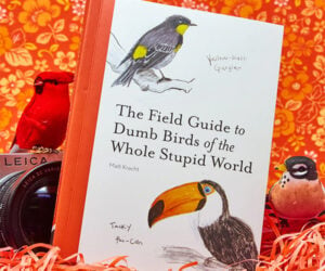 Field Guide to Dumb Birds of the Whole Stupid World