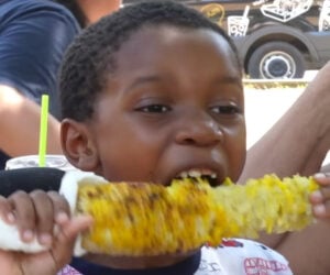 Corn Boy Gets a Song
