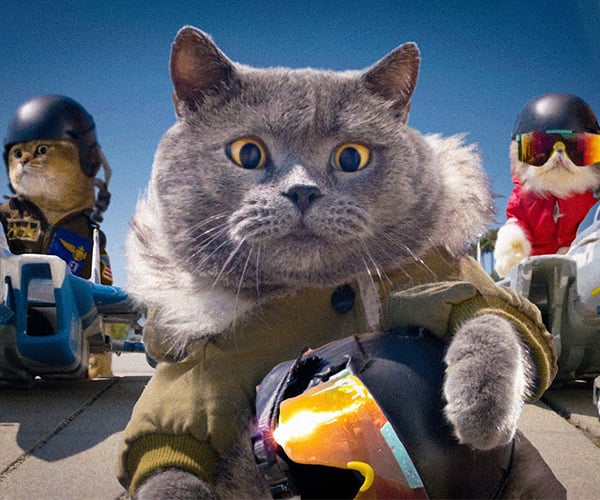 Top Gun but with Cats