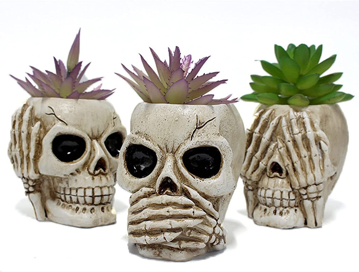 Skull Planter Set
