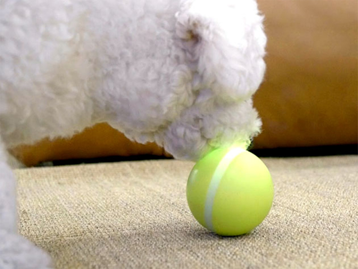 Wicked Ball Interactive Pet Toy